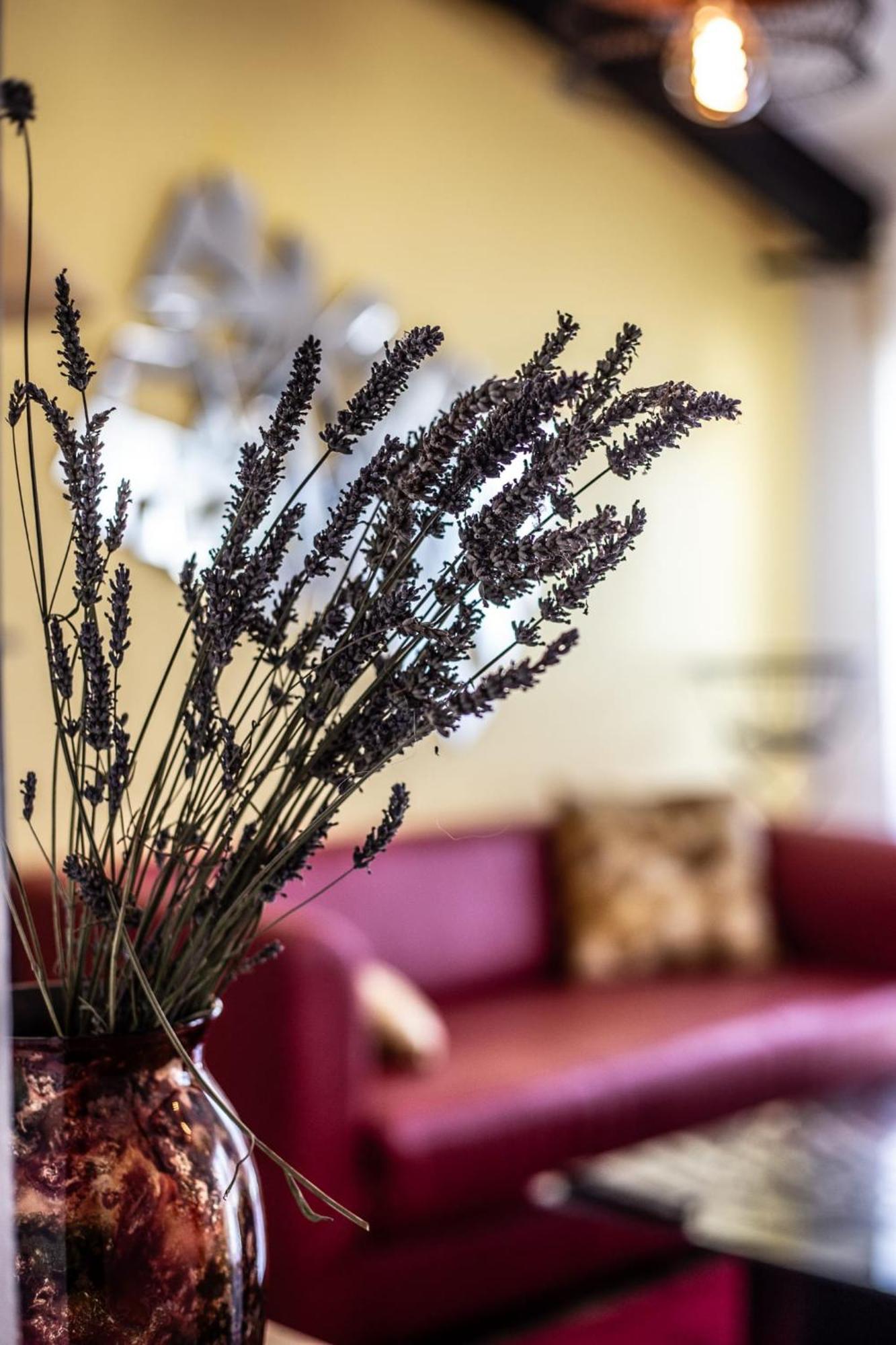 Le Dupe Aparthotel Brissac-Quince Εξωτερικό φωτογραφία